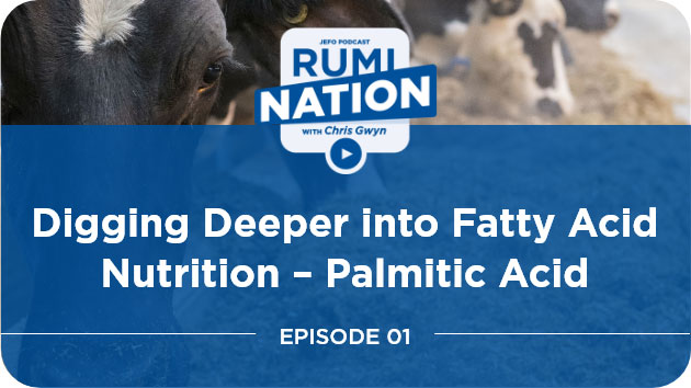 Digging Deeper into Fatty Acid Nutrition – Palmitic Acid