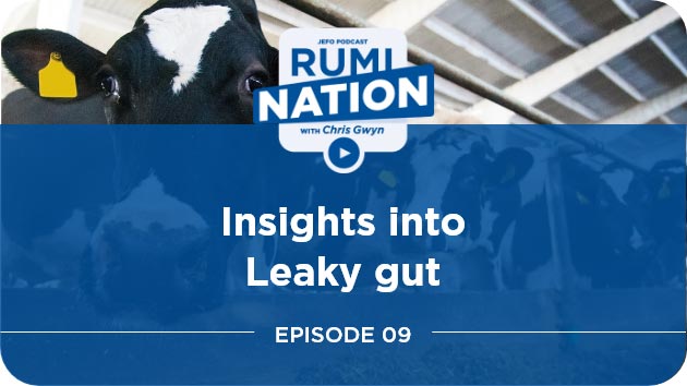 Insights into leaky gut